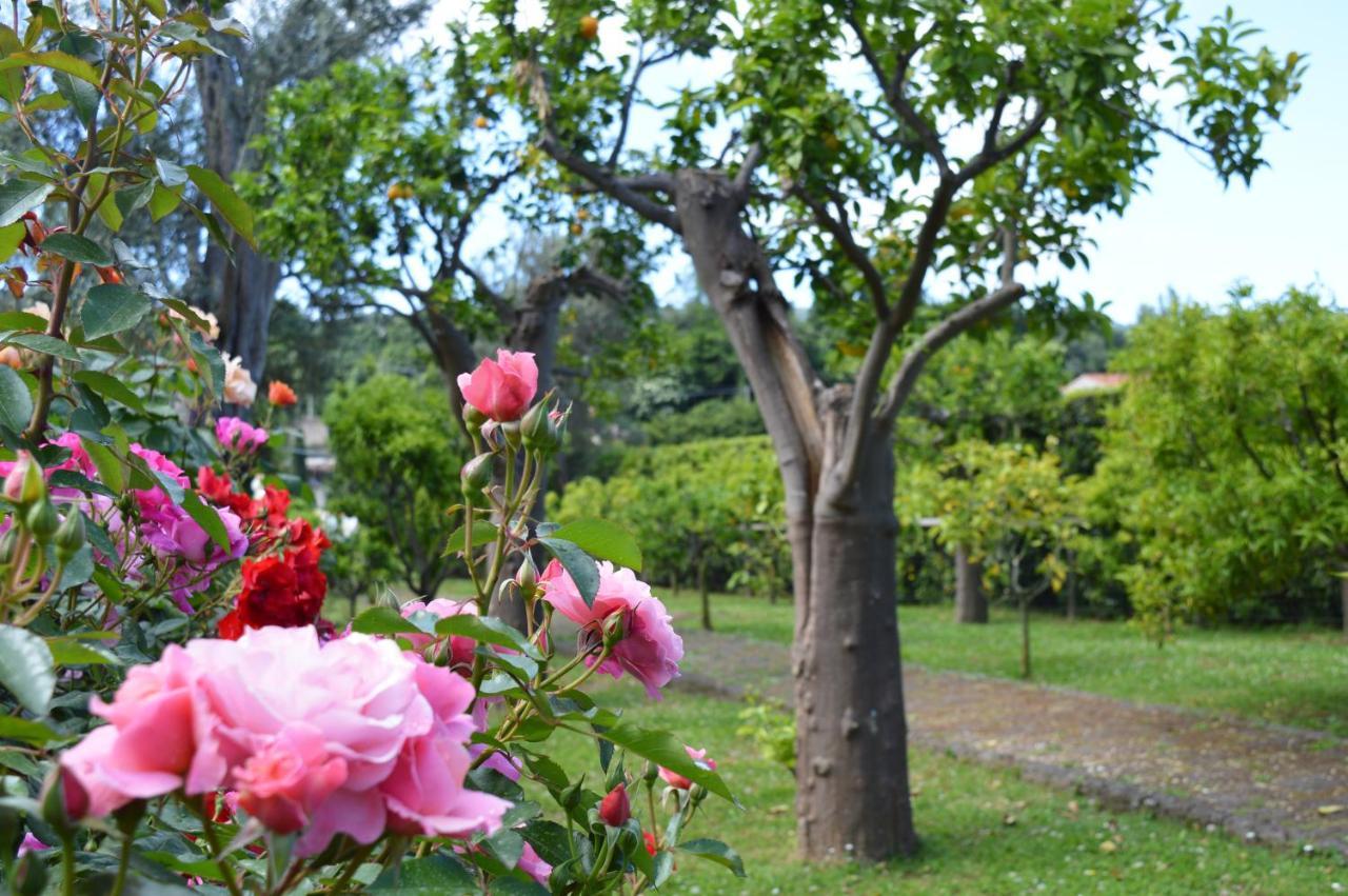 Sara's Sweet Corner Bed and Breakfast Meta Buitenkant foto